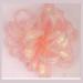 P15-020 #06 Lt.Peach